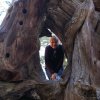 Kings canyon et Sequoia 24